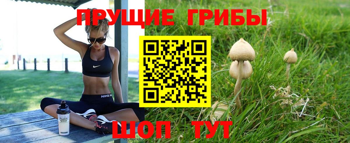 Псилоцибиновые грибы Magic Shrooms  Вход с VPN  Орехово-Зуево 
